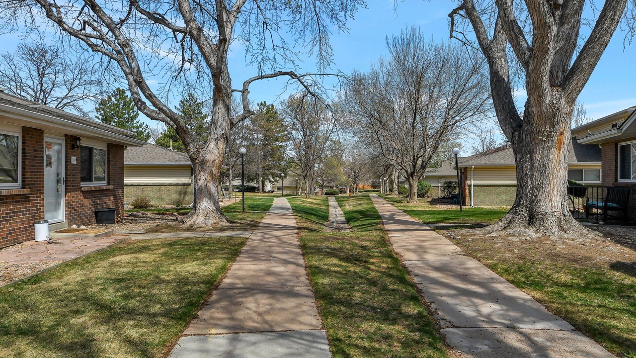 Photo of Outdoor in Hampden South