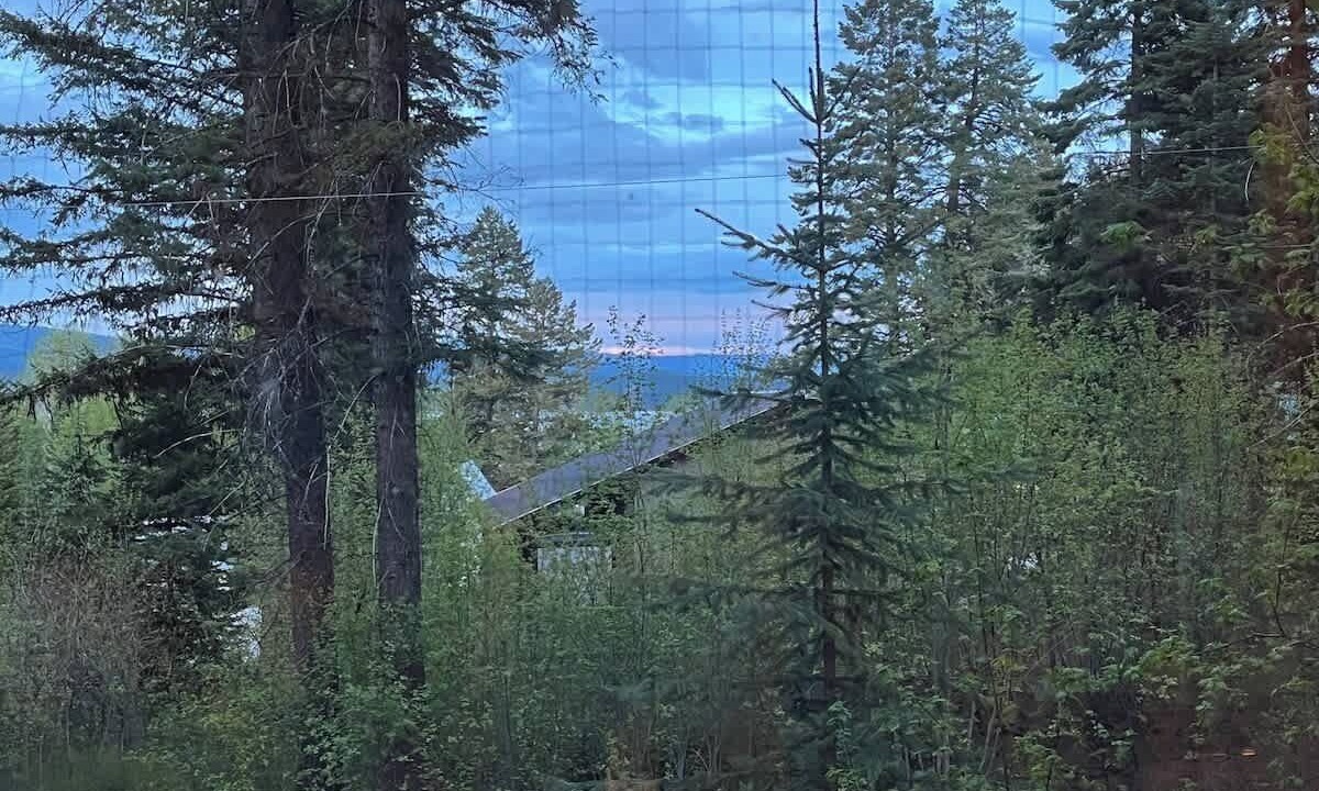 Photo of Others in Cascade