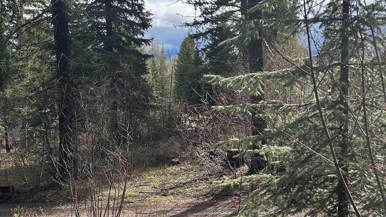 Photo of Outdoor in Cascade