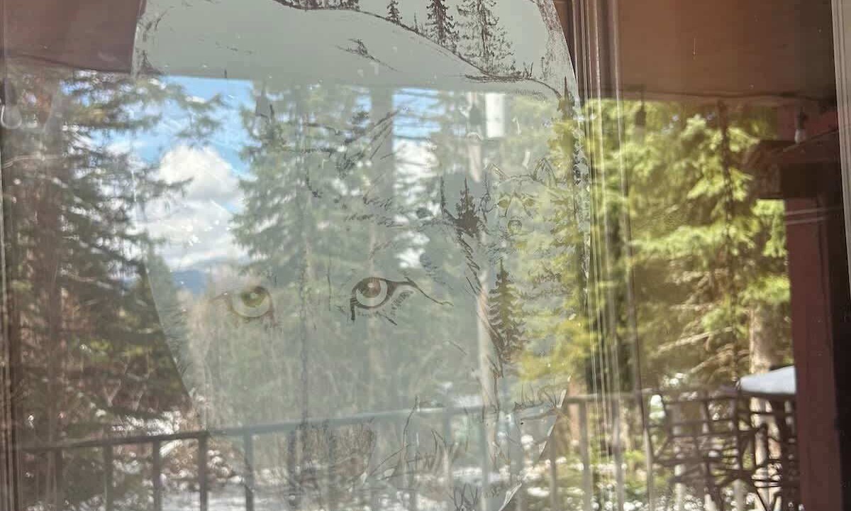 Photo of Outdoor in Cascade