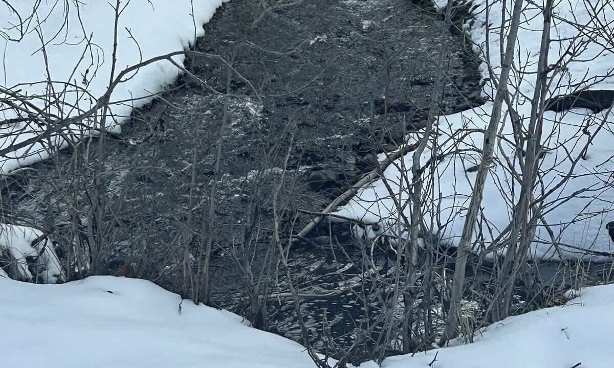 Photo of Outdoor in Cascade