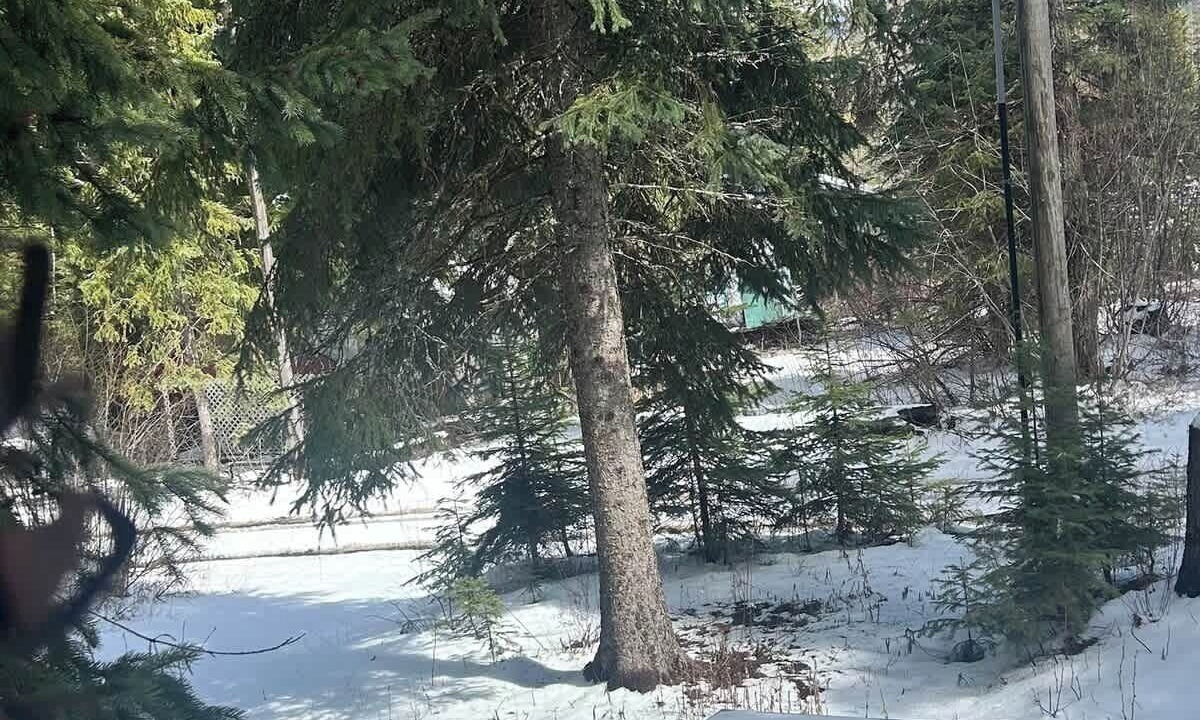 Photo of Outdoor in Cascade