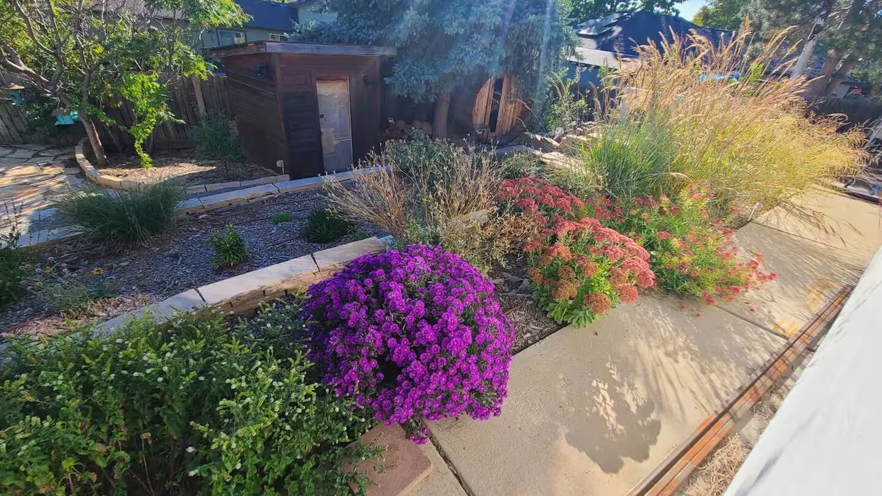 Photo of Outdoor in Fort Collins
