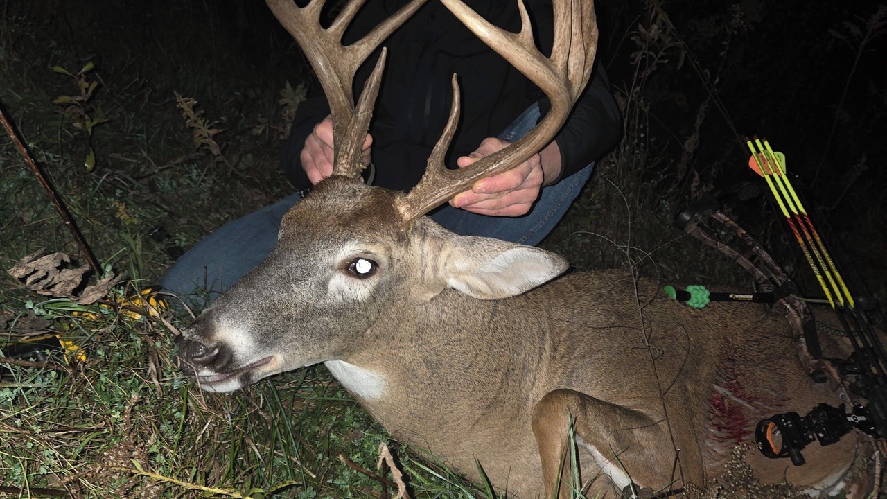 Photo of Others in Wayne County