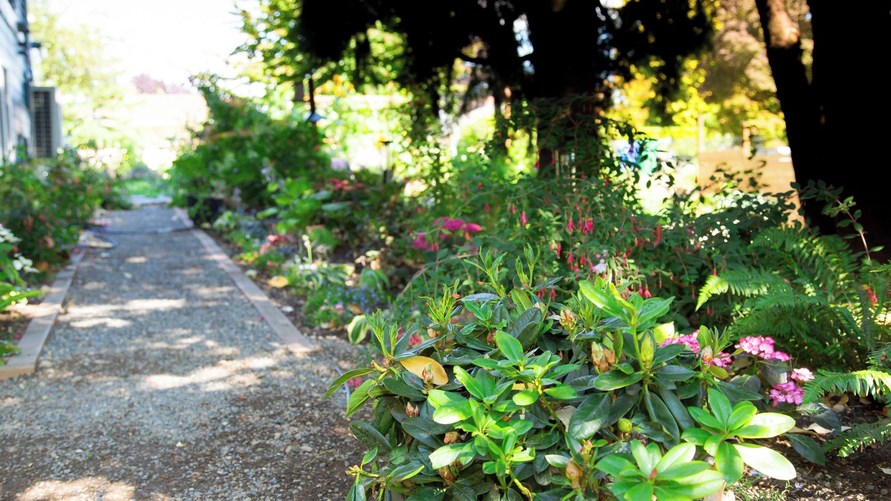 Photo of Outdoor in Highland Park