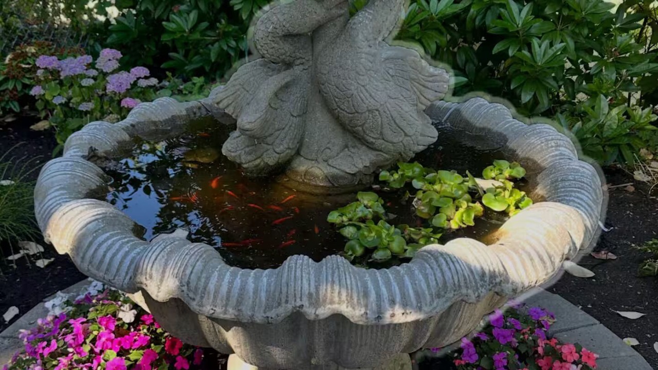 Photo of Outdoor in Highland Park