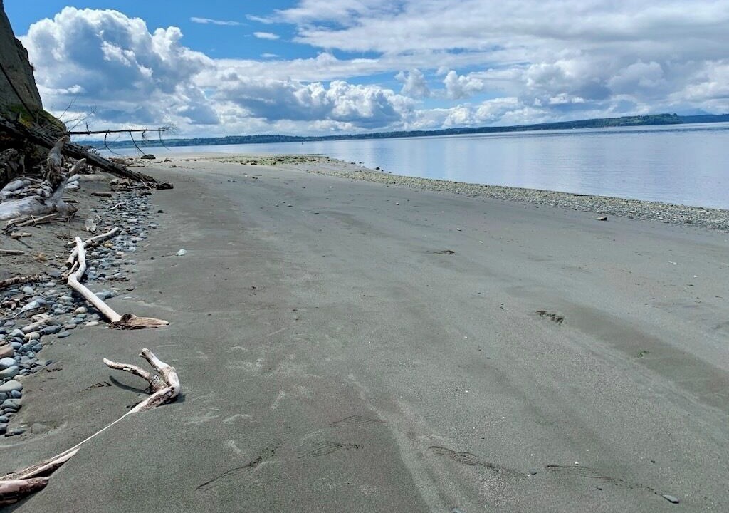 Photo of Others in Freeland
