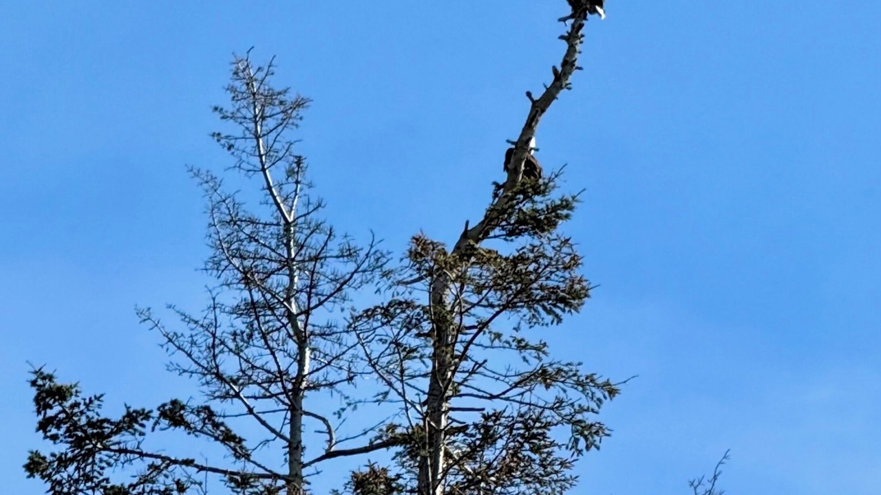 Photo of Others in Freeland