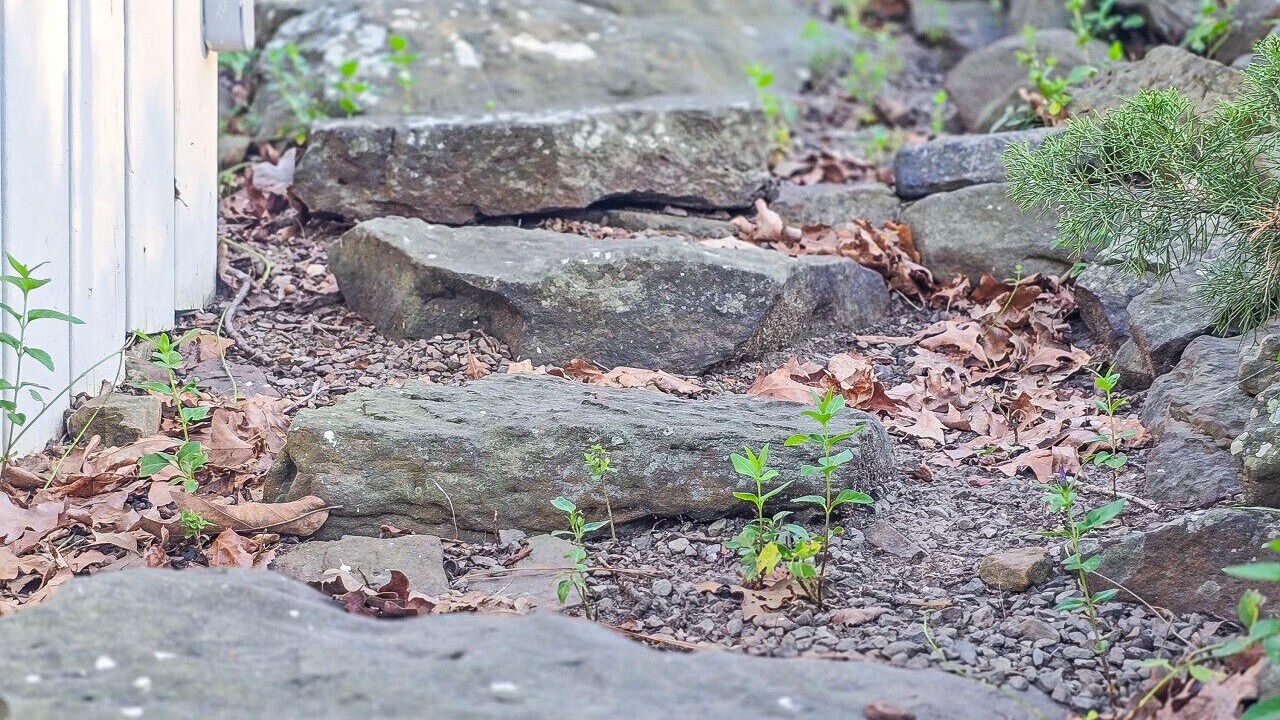 Photo of Outdoor in Eufaula
