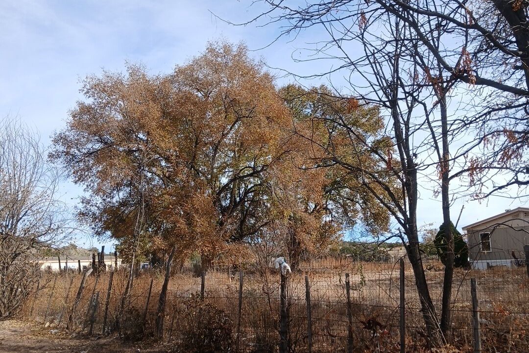 Photo of Outdoor in Medanales