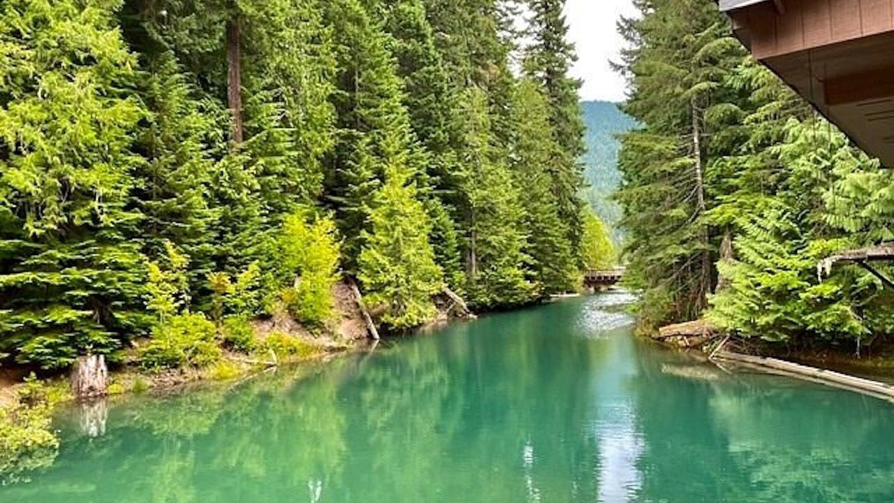 Photo of Outdoor in Packwood
