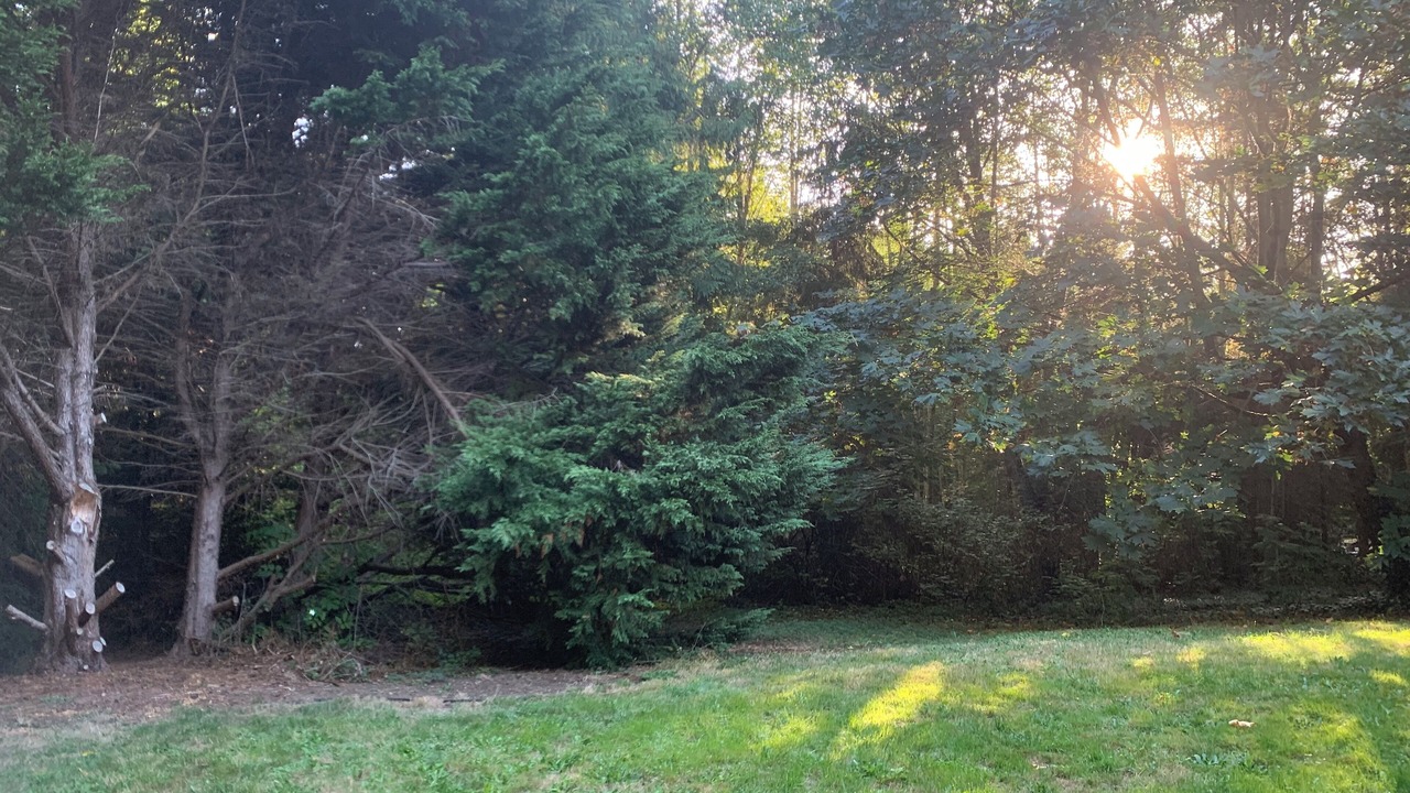 Photo of Others in Camano Island