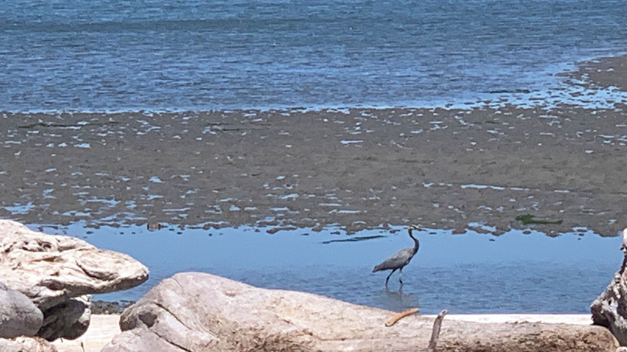 Photo of Others in Camano Island