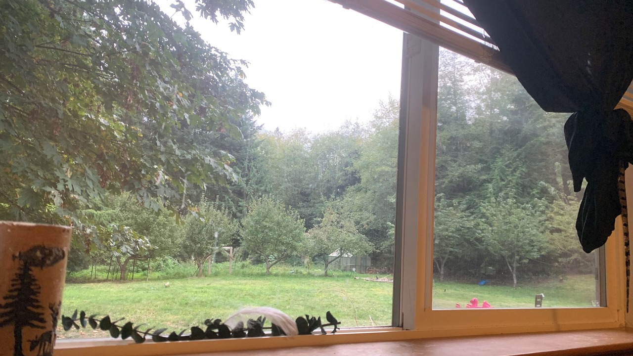 Photo of Others in Camano Island