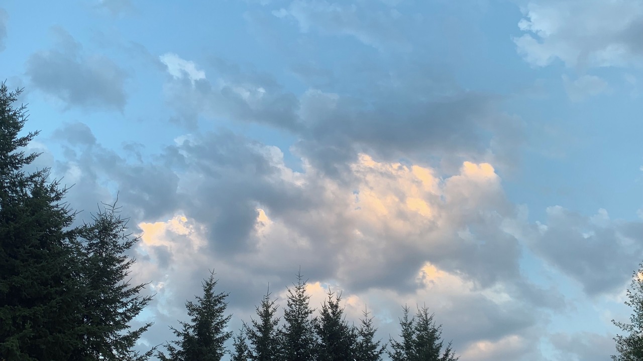Photo of Others in Camano Island