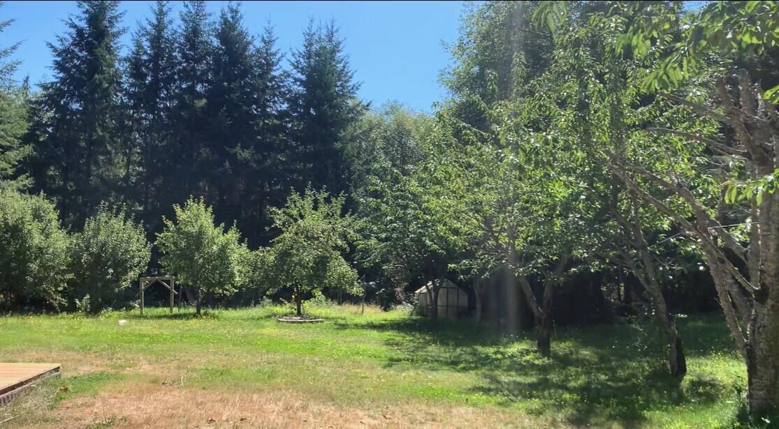 Photo of Outdoor in Camano Island