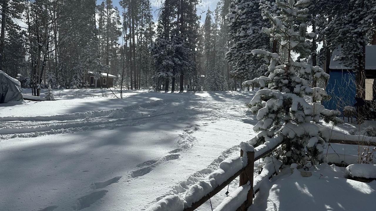 Photo of Others in Walden
