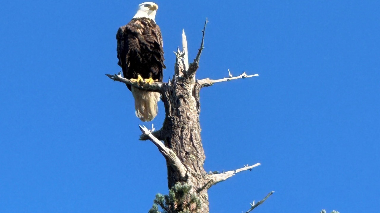 Photo of Others in Friday Harbor