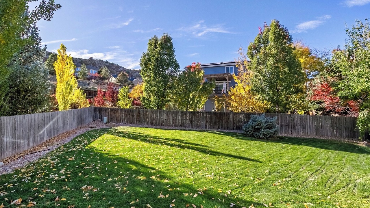 Photo of Outdoor in Roxborough