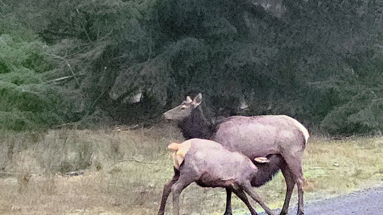Photo of Others in Randle