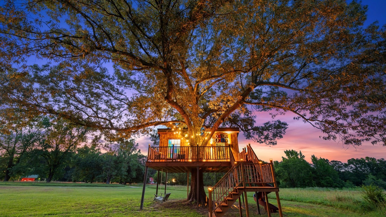 Photo of Outdoor in Golden