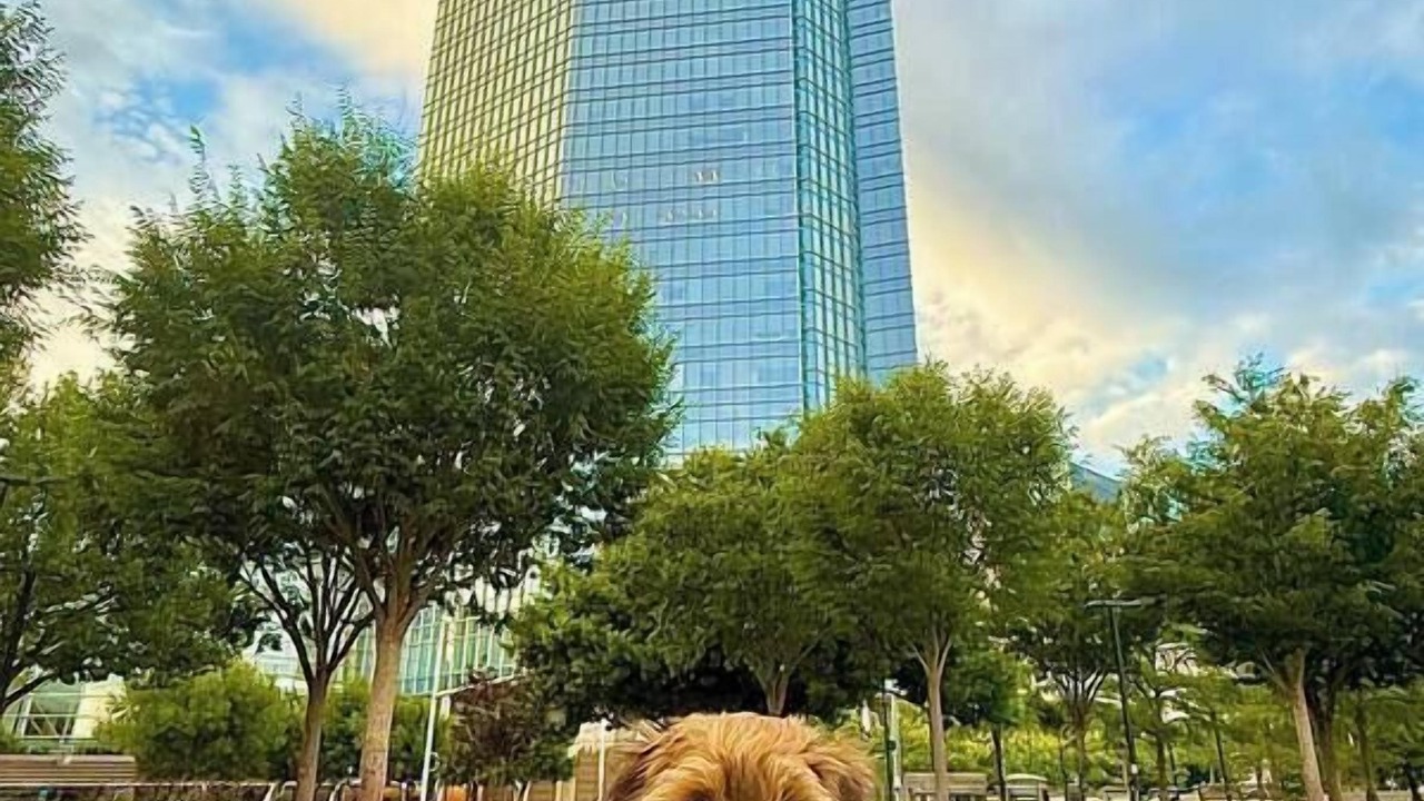 Photo of Outdoor in Midtown
