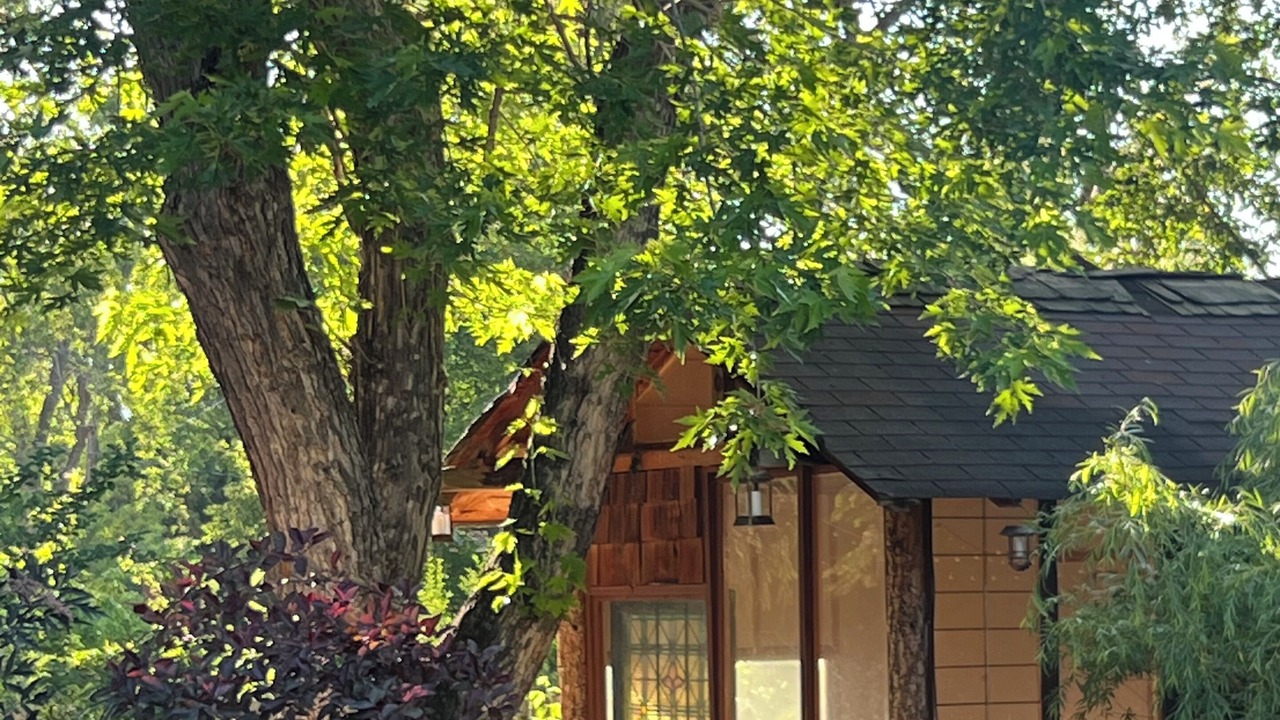 Photo of Outdoor in Martin Acres