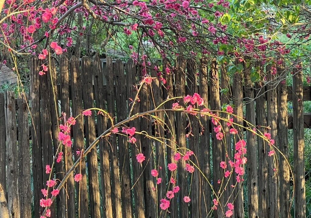 Photo of Outdoor in Martin Acres