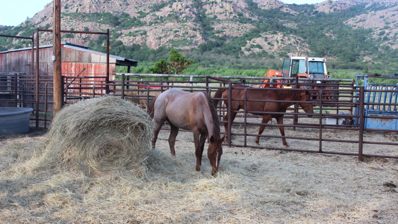 Photo of Others in Kiowa County