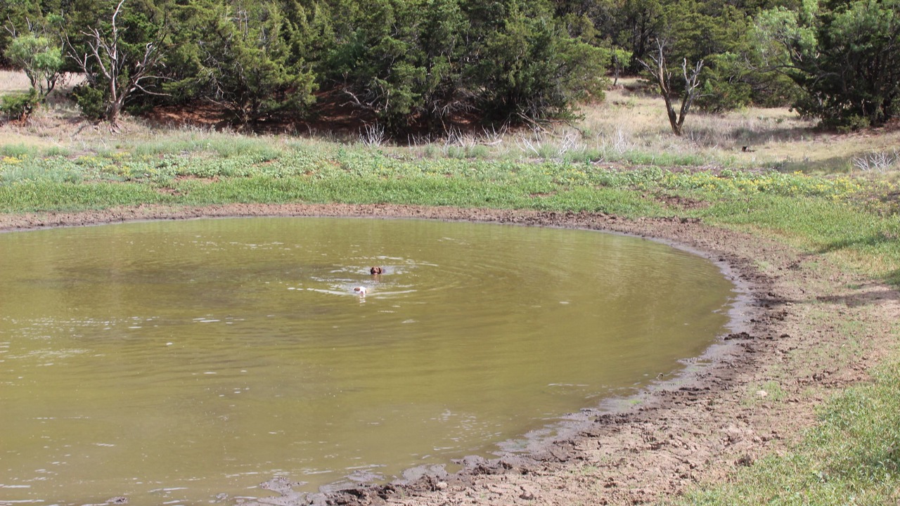 Photo of Others in Kiowa County