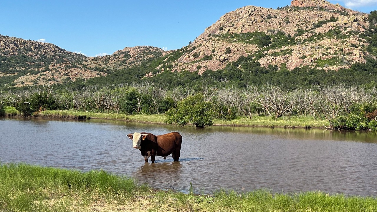 Photo of Others in Kiowa County