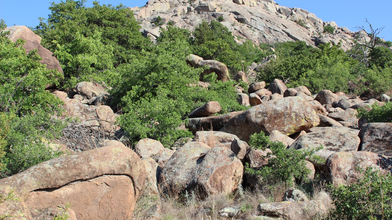 Photo of Others in Kiowa County