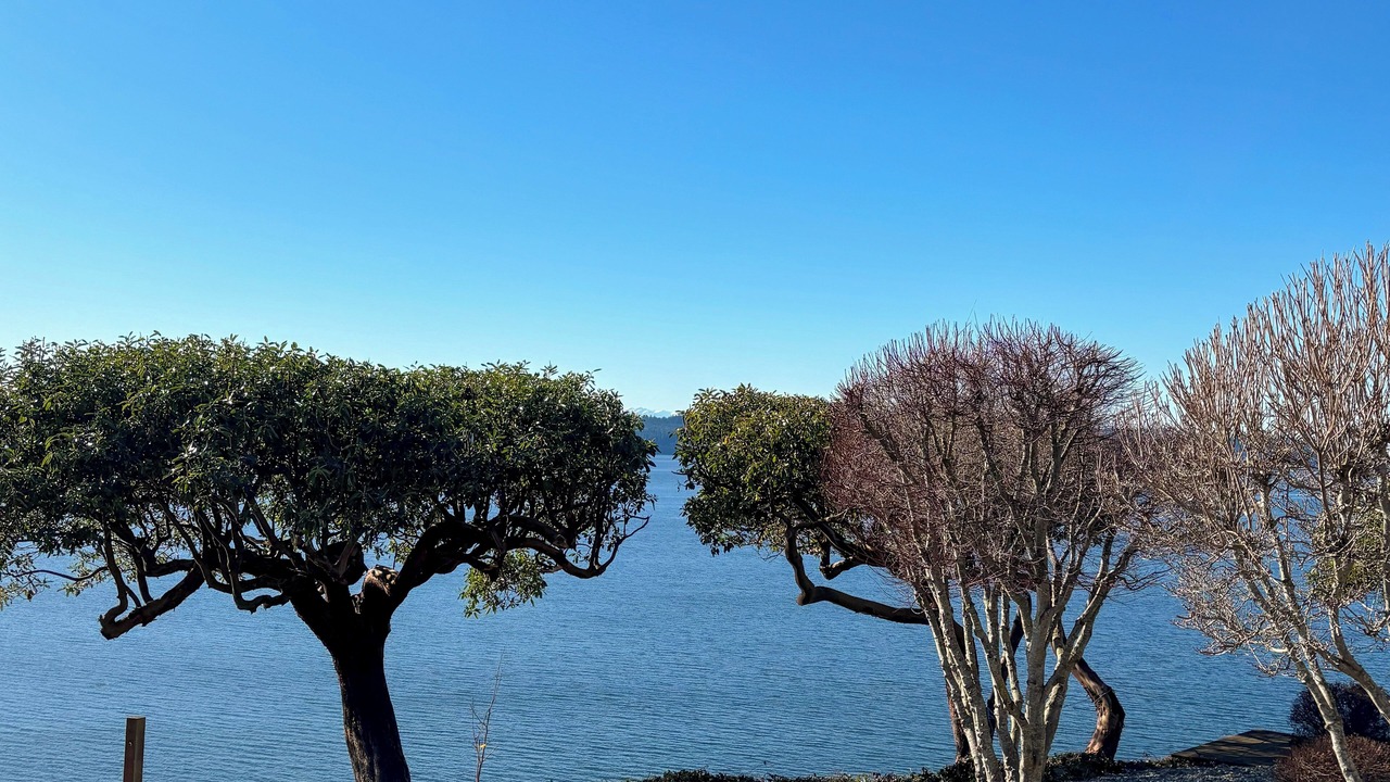 Photo of Others in Camano Island
