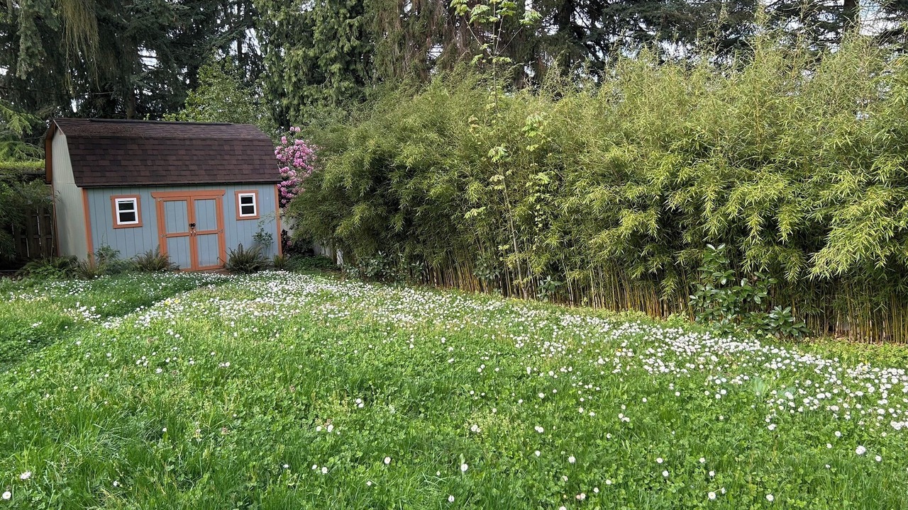 Photo of Outdoor in SeaTac