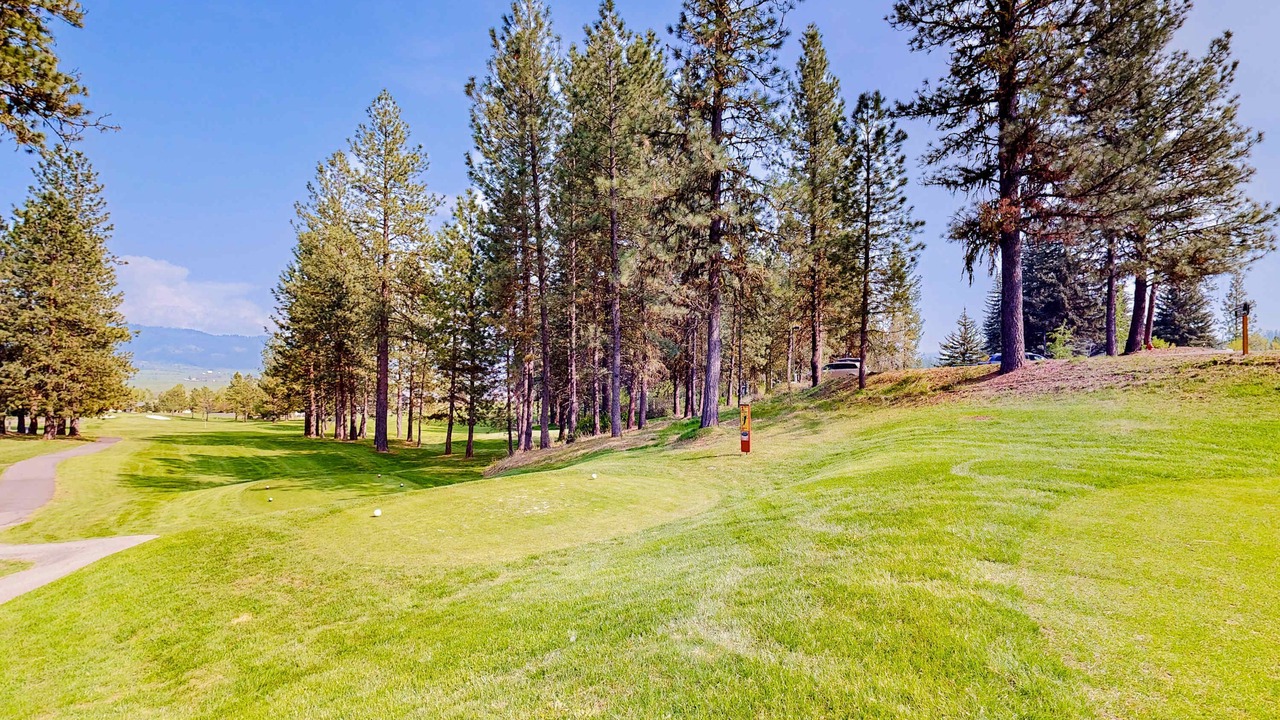 Photo of Others in New Meadows