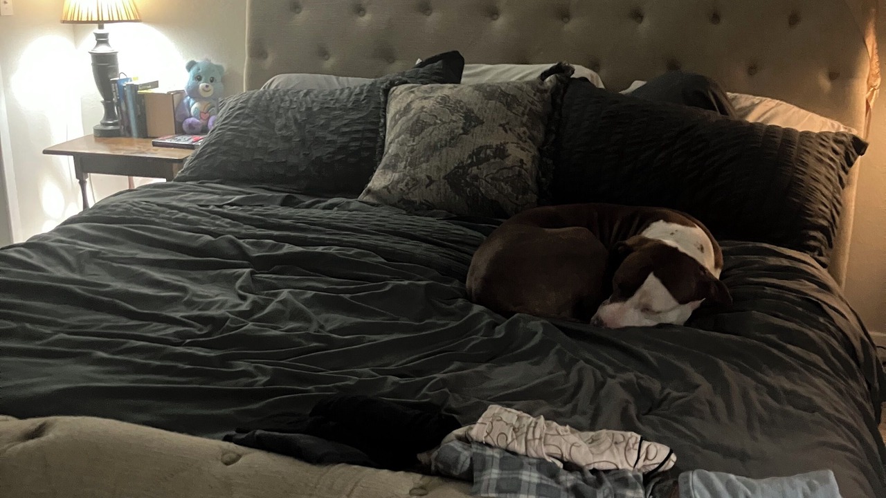 Photo of Bedroom in North Westminster