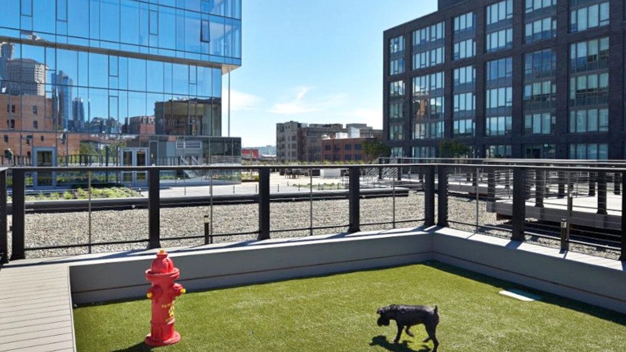 Photo of Outdoor in Downtown Seattle