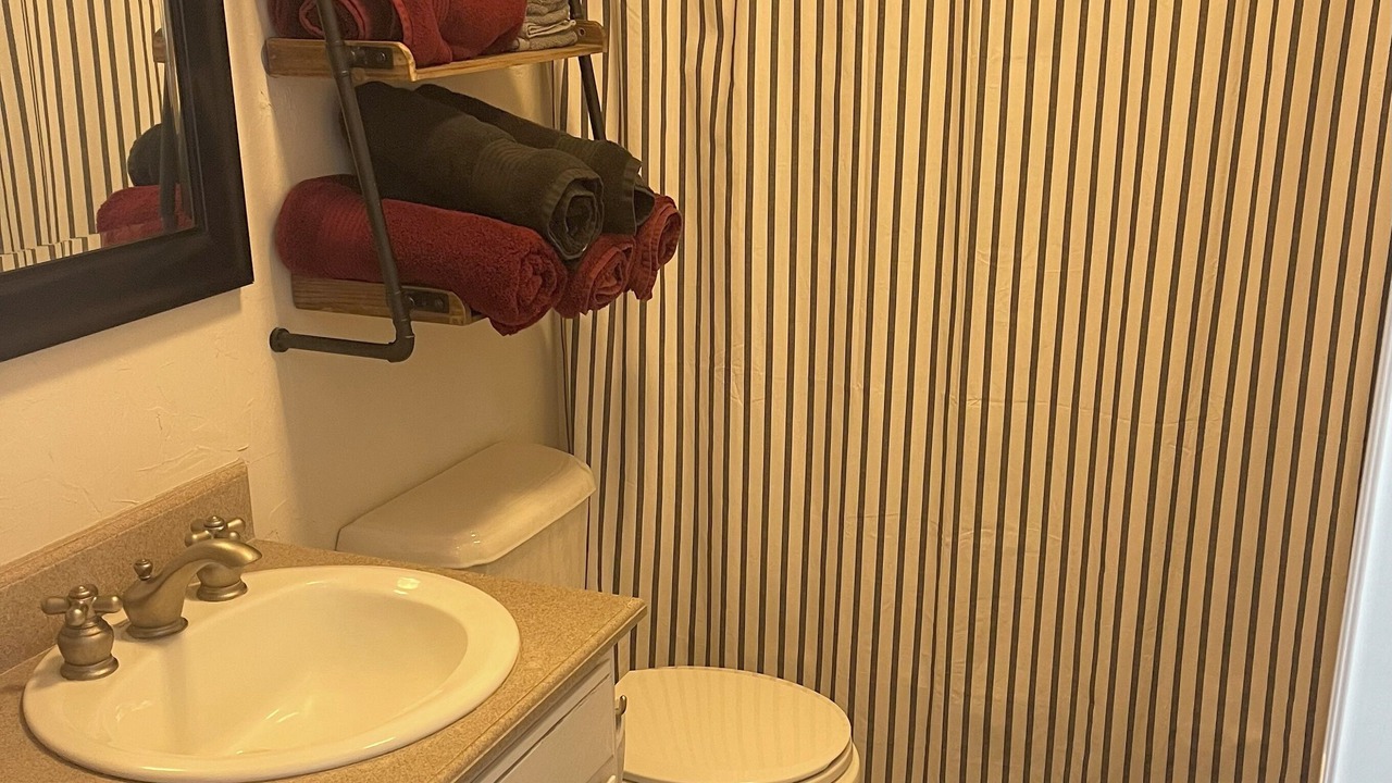 Photo of Bathroom in Paluxy