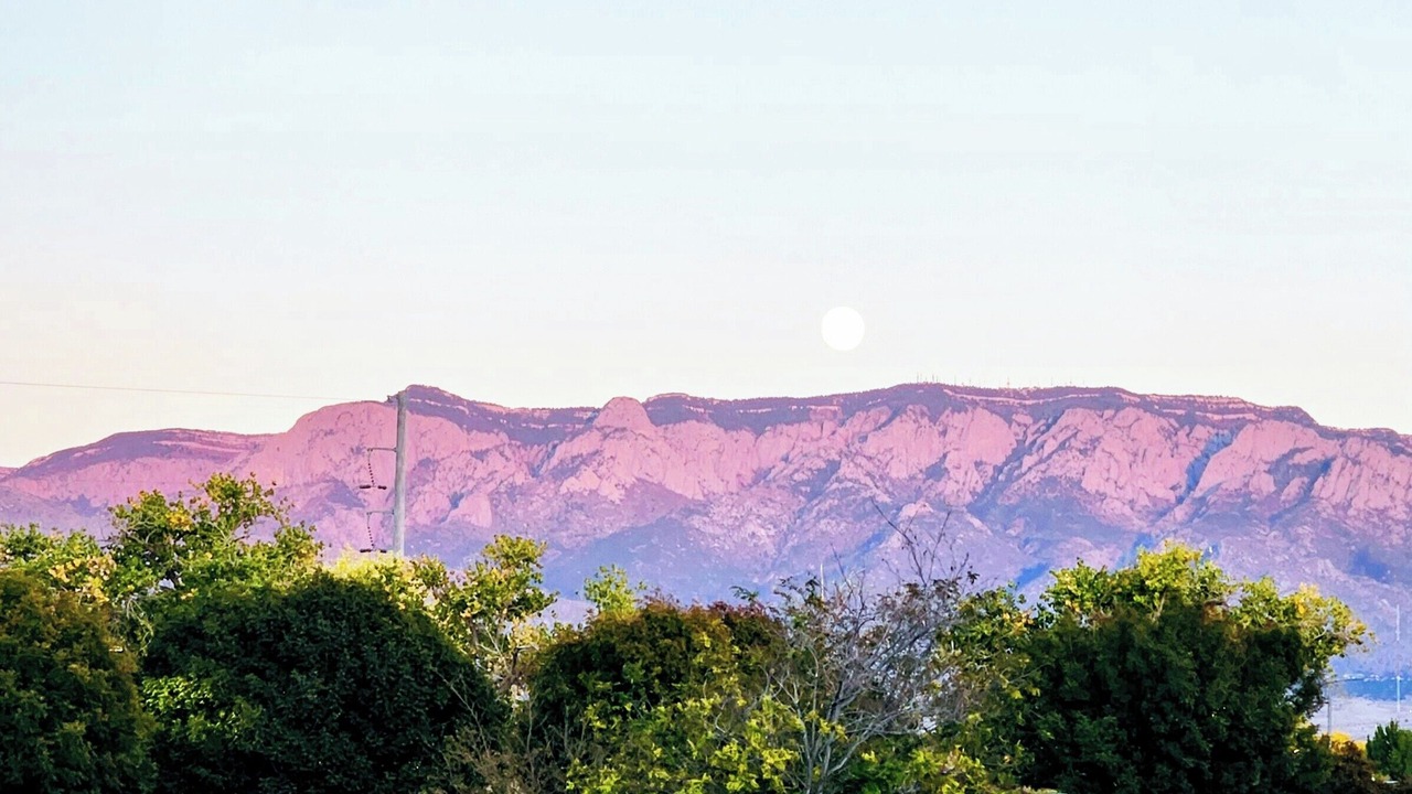 Photo of Others in Corrales