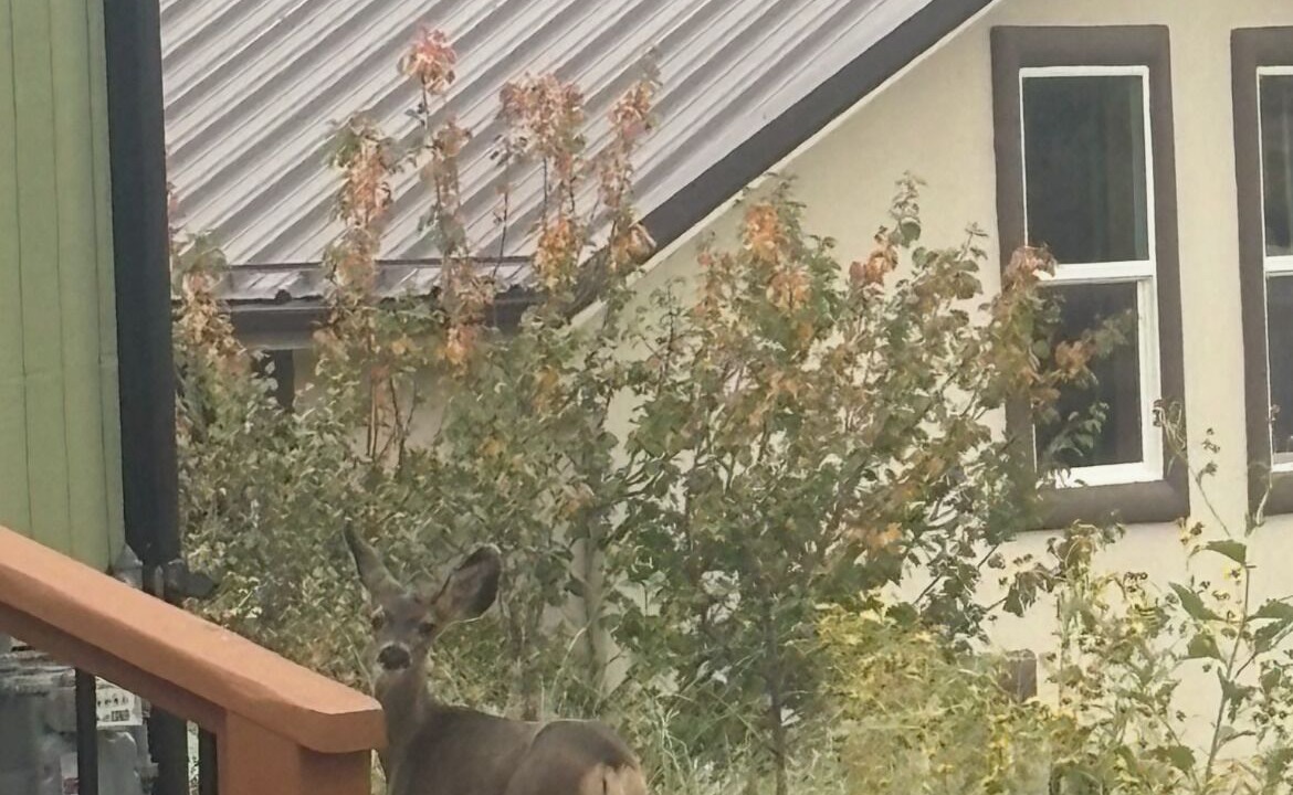 Photo of Outdoor in Alto