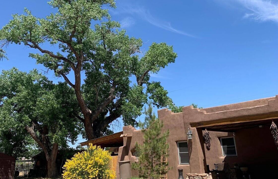 Photo of Outdoor in Albuquerque