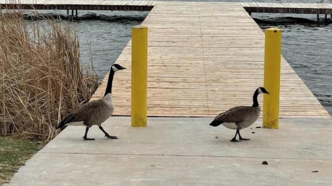 Photo of Others in Buffalo Springs