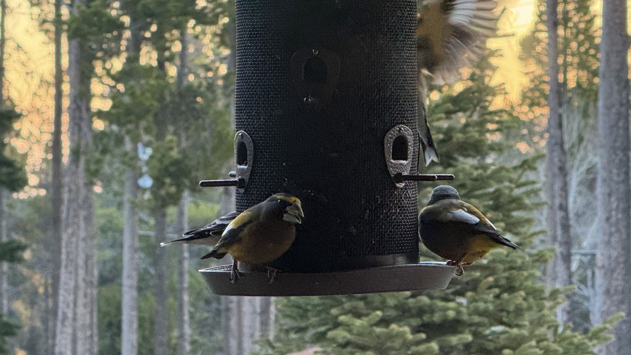 Photo of Others in Casper Mountain