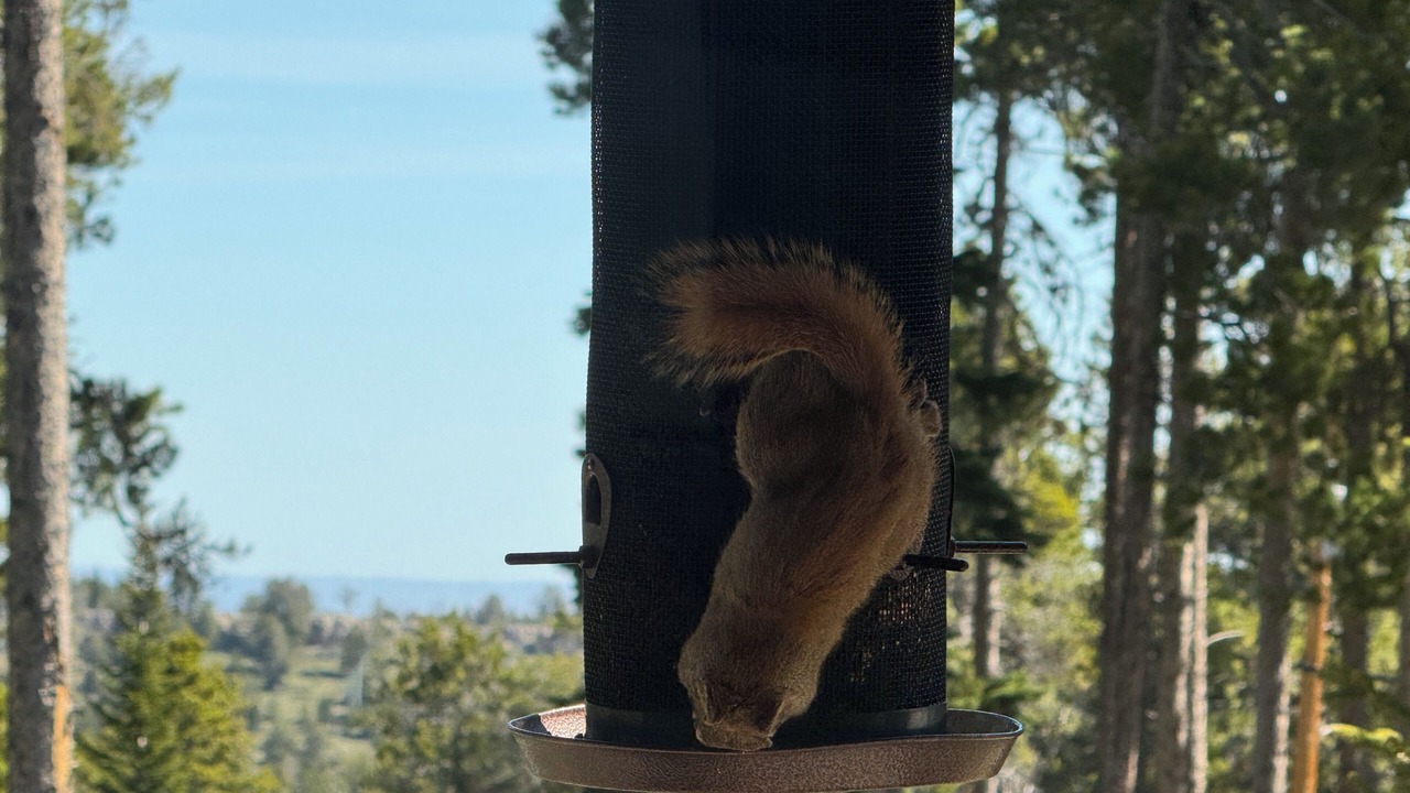 Photo of Others in Casper Mountain
