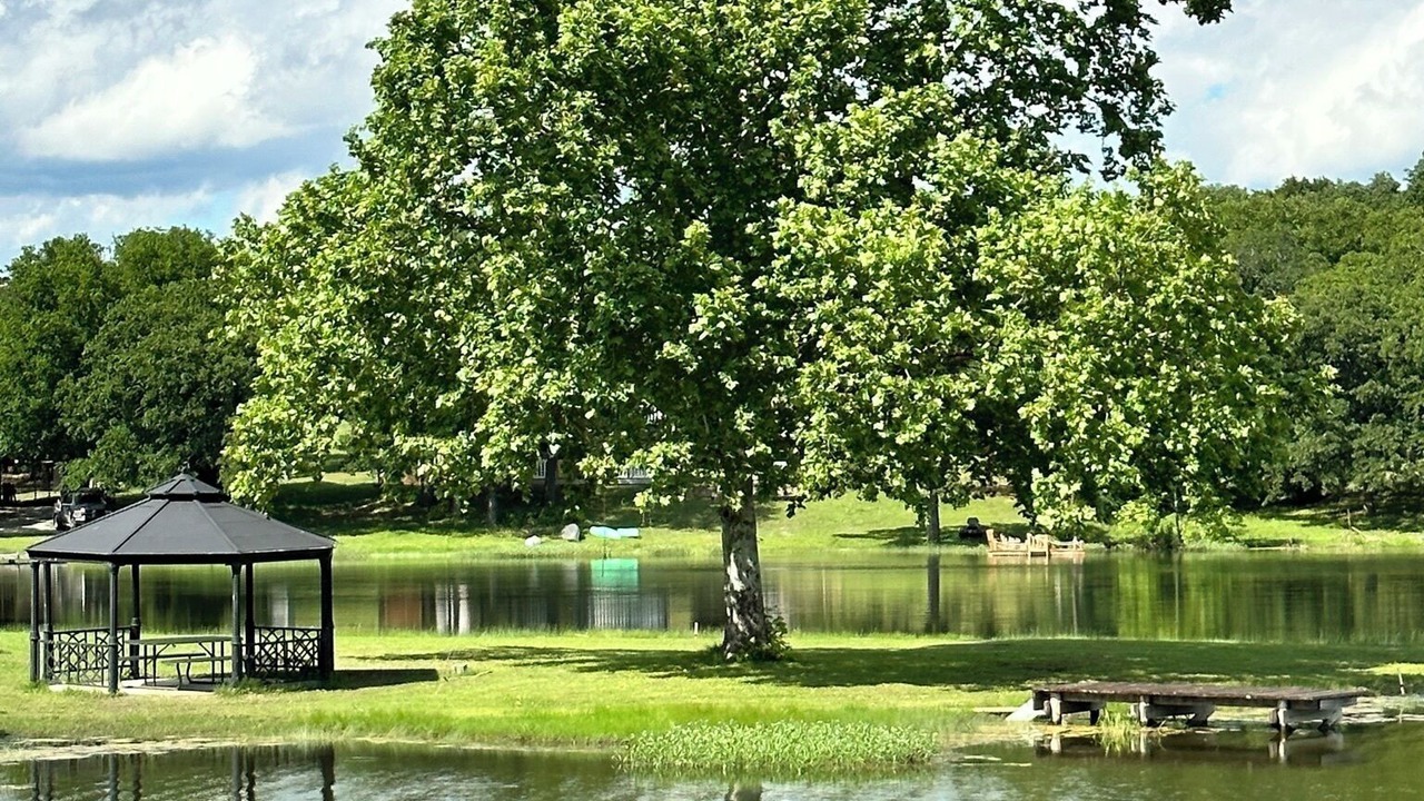 Photo of Others in Sulphur