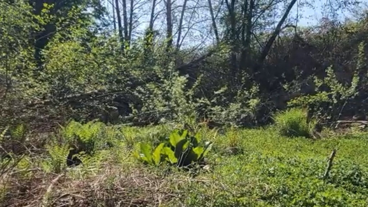 Photo of Others in West Hills