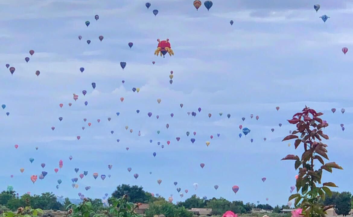 Photo of Others in Corrales