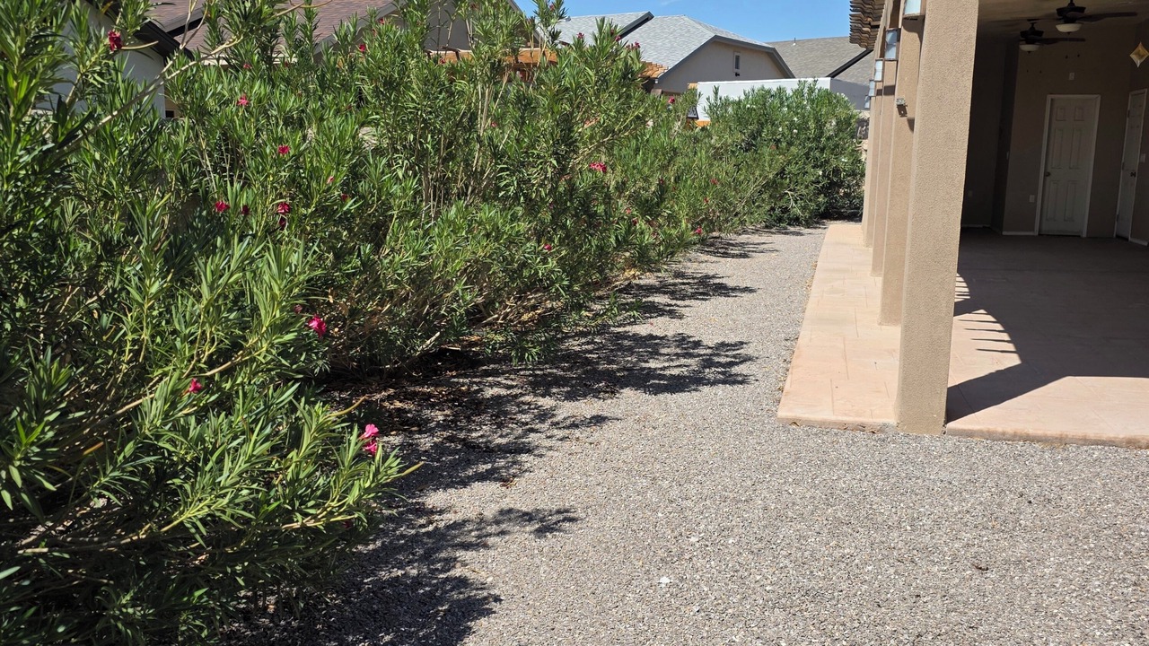 Photo of Outdoor in Santa Teresa