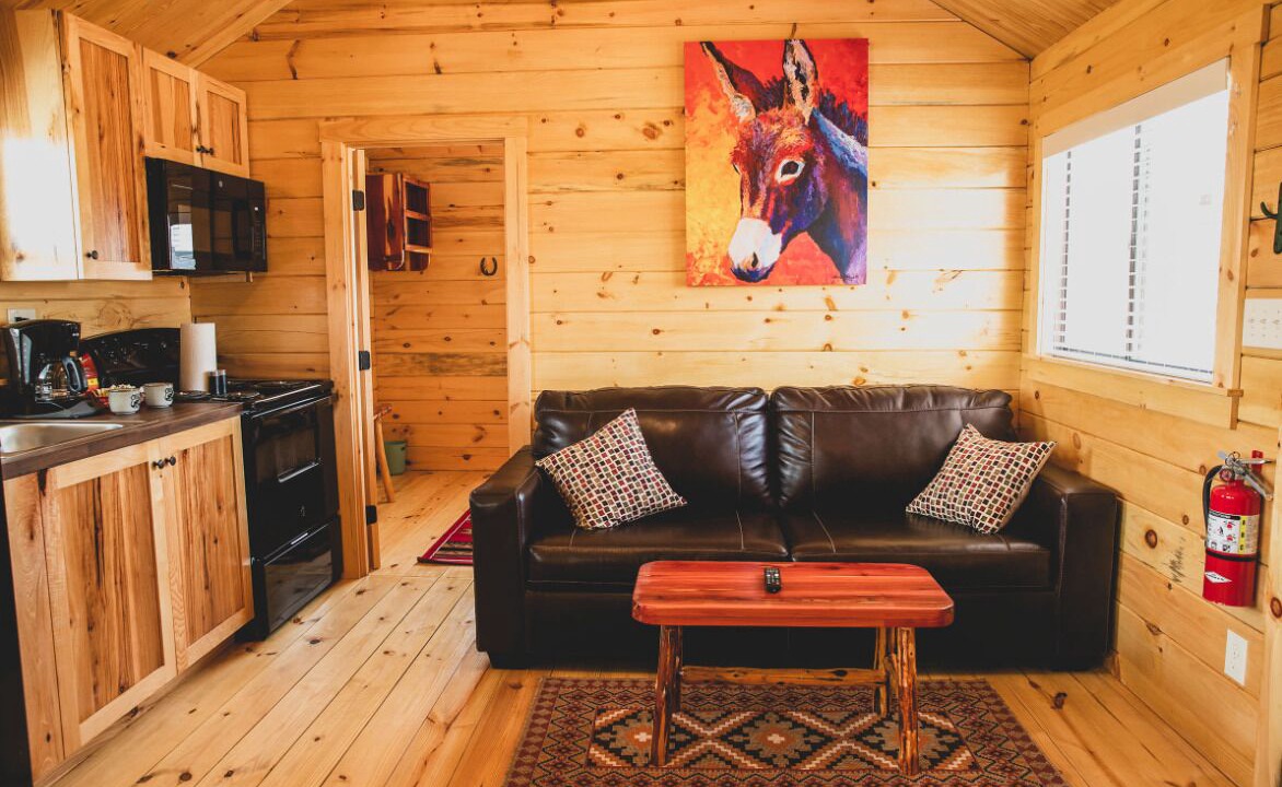 Photo of Livingroom in Amarillo