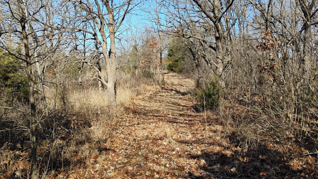 Photo of Outdoor in Pauline